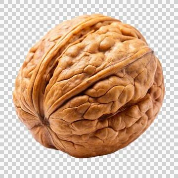 Walnut-isolated-on-white-background Stock Photos