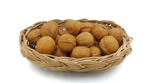 Walnut on isolated white background Stock Photos