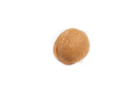 Walnut isolated on a white background Stock Photos