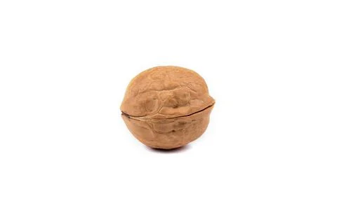 Walnut isolated on a white background Stock Photos