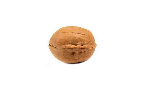 Walnut isolated on a white background Stock Photos