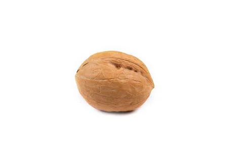Walnut isolated on a white background Stock Photos