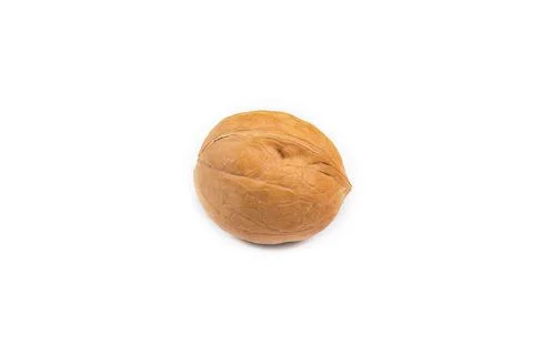 Walnut isolated on a white background Stock Photos