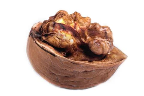 Walnut isolated on a white background Stock Photos