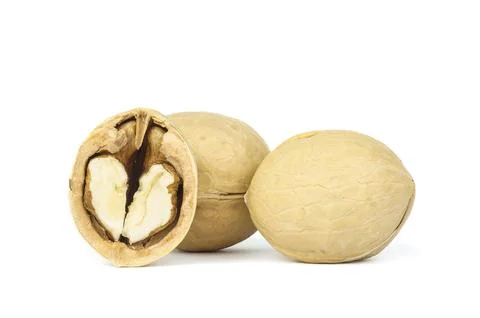 Walnut isolated on white background Stock Photos