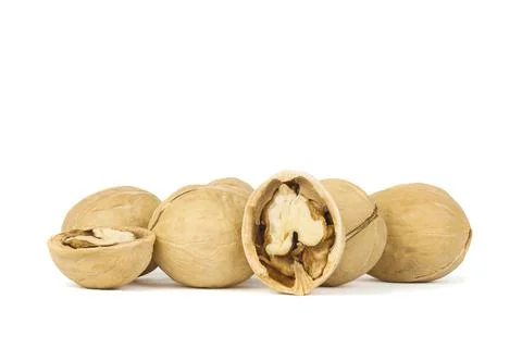 Walnut isolated on white background Stock Photos