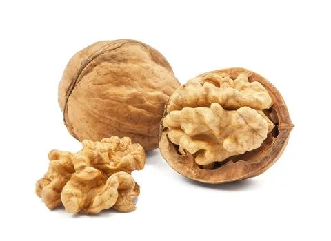 Walnut isolated on white background Stock Photos