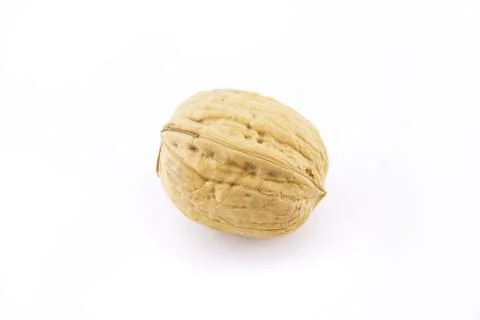 Walnut isolated on white Stock Photos