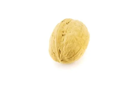 Walnut isolated on white Stock Photos
