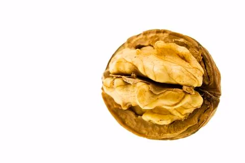 .walnut of isolated on white ..... Foto stock