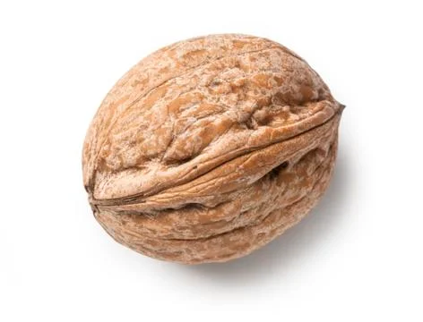 Walnut isolated on white Stock Photos