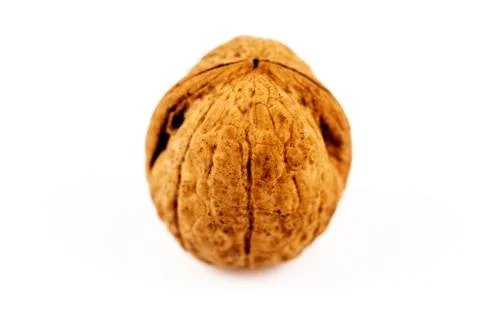 Walnut isolated on white Stock Photos