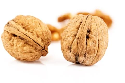 Walnut isolated on white Foto stock