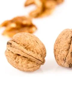 Walnut isolated on white Stock Photos