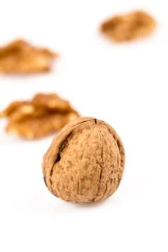 Walnut isolated on white Stock Photos