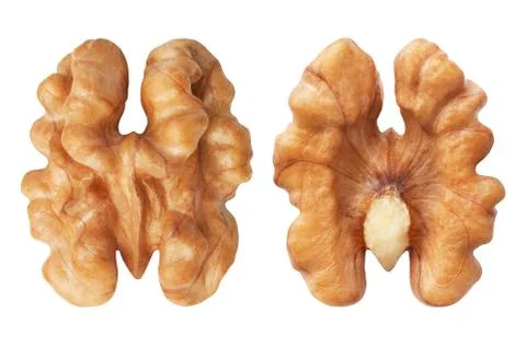 Walnut isolated on white Stock Photos