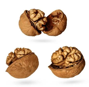 Walnut isolated on white Stock Photos