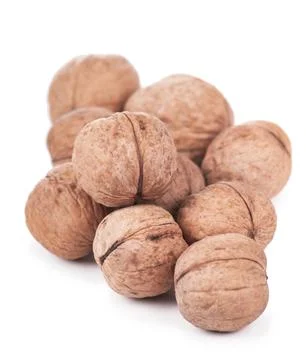 Walnut isolated on a white 스톡 사진