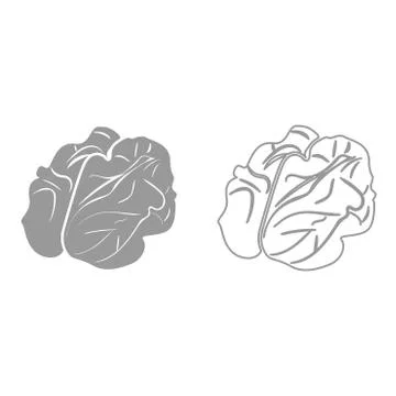 Walnut it is black icon . イラスト素材