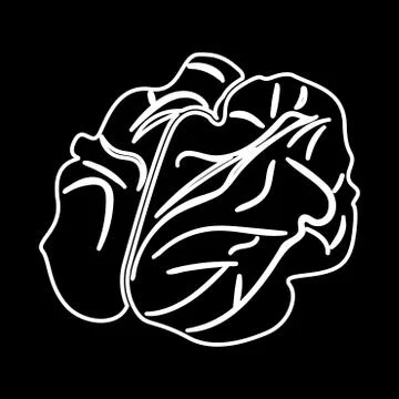 Walnut it is icon . Stock Illustration