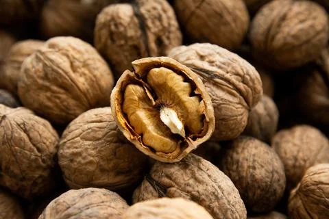 Walnut kernel against the background of other walnuts Stock Photos