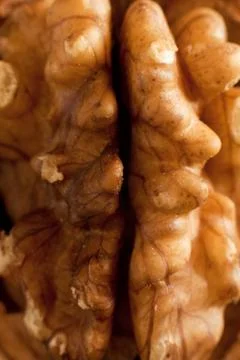 Walnut Kernel Close-Up Stock Photos
