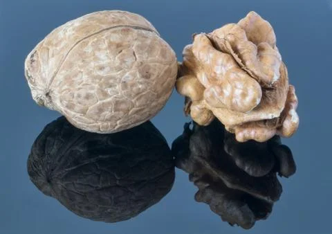 Walnut kernel on a dark background. With reflection in the foreground. Fotos de archivo