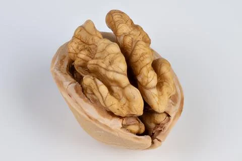 Walnut kernel detail highlights curved folds and warm tones, studiolit agains 写真素材