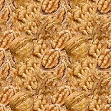 Walnut kernel hand drawn watercolor illustration. Seamless pattern. Stock Illustration