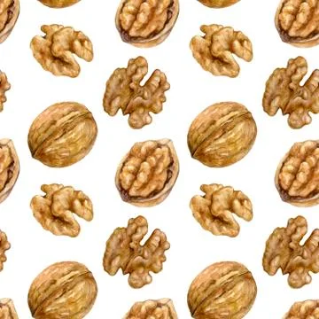 Walnut kernel hand drawn watercolor seamless pattern. Stock Illustration