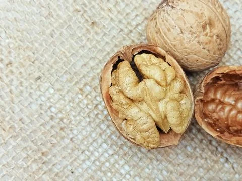 Walnut kernel inside cracked shell on burlap background Stock Photos
