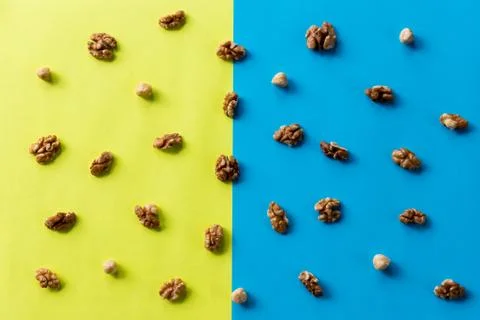 Walnut kernel pattern backdrop. One open nut shell with kernel on yellow blue Stock Photos