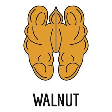 Walnut kernel representing healthy food and brain shape Stock Illustration