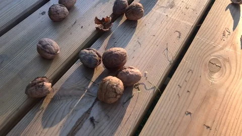  walnut kernels and whole walnuts on wooden table.  Stock Footage 116170234