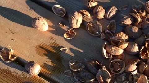 Walnut kernels and whole walnuts on wooden table. Stock Footage 116231158