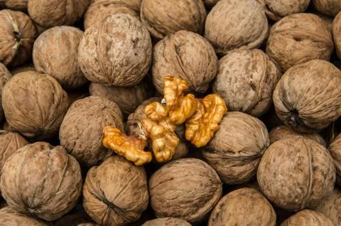 Walnut kernels and whole walnuts. Stock Photos