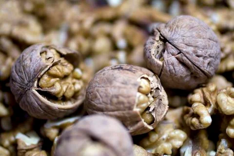 Walnut kernels and whole walnuts Stock Photos
