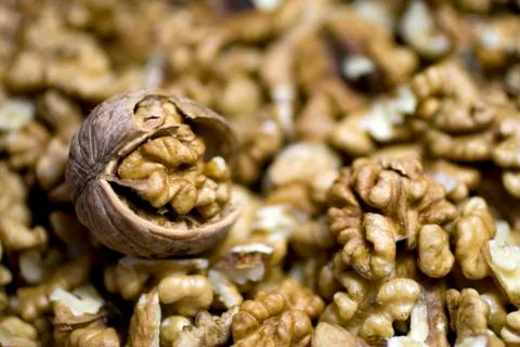 Walnut kernels and whole walnuts Stock Photos
