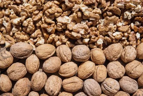 Walnut kernels and whole walnuts Stock Photos