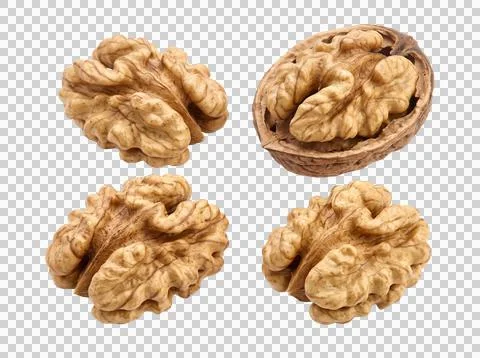 Walnut kernels brown healthy nuts set for dietary snack and organic food re.. Stock Photos