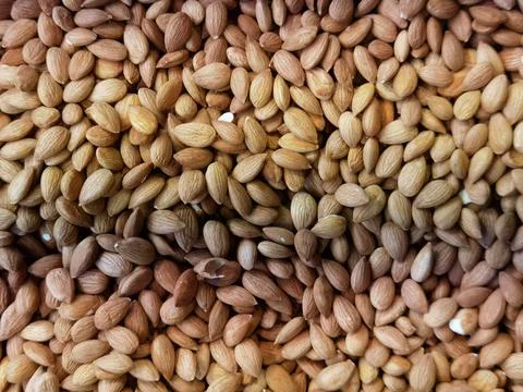 Walnut kernels in bulk but isolated Stock Photos