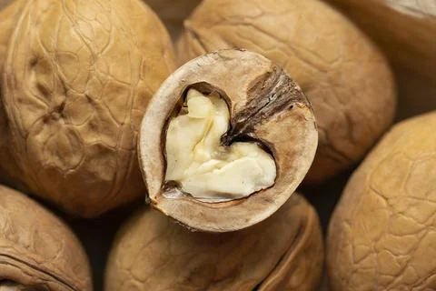 Walnut kernels close up. Half of a walnut in the shape of a heart. Stock Photos