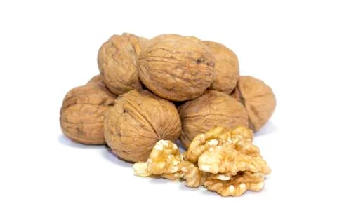 Walnut kernels in front of pile of walnut shells isolated on white background. Stock Photos