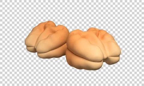 Walnut kernels isolated on white background. 3d rendering Stock Illustration