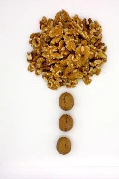 Walnut Kernels (Other Names: Juglans Regia, Persian Walnut, English Walnut, C Stock Photos