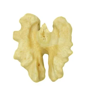 Walnut kernels Stock Photos