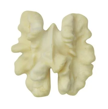 Walnut kernels Stock Photos