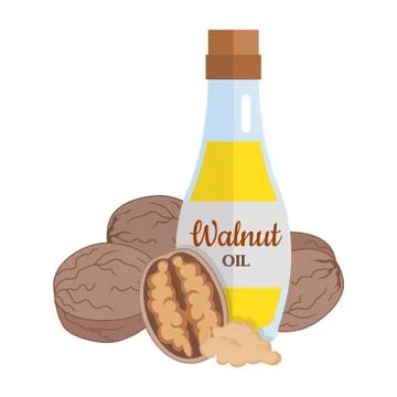 Walnut Kernels with Walnut Oil イラスト素材