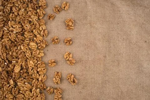 Walnut kernels walnuts on burlap. Stock Photos