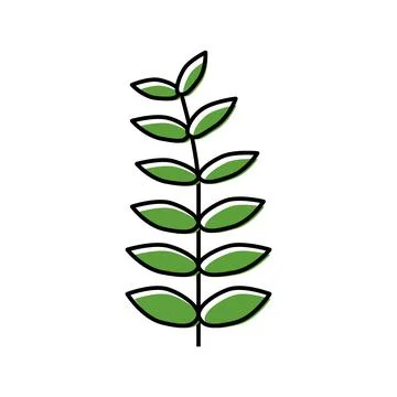 Walnut leaf color icon vector illustration Stock Illustration